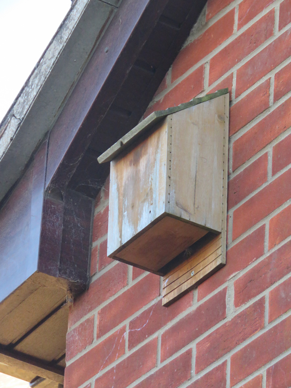 Bat Box