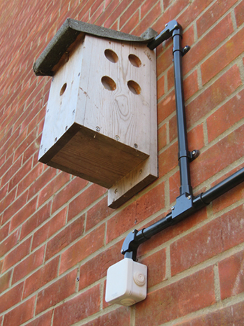 Bird bnest box