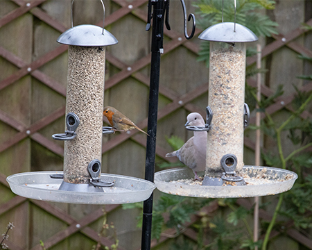 Bird Feeders with trays.