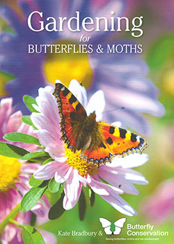 Butterfly Book