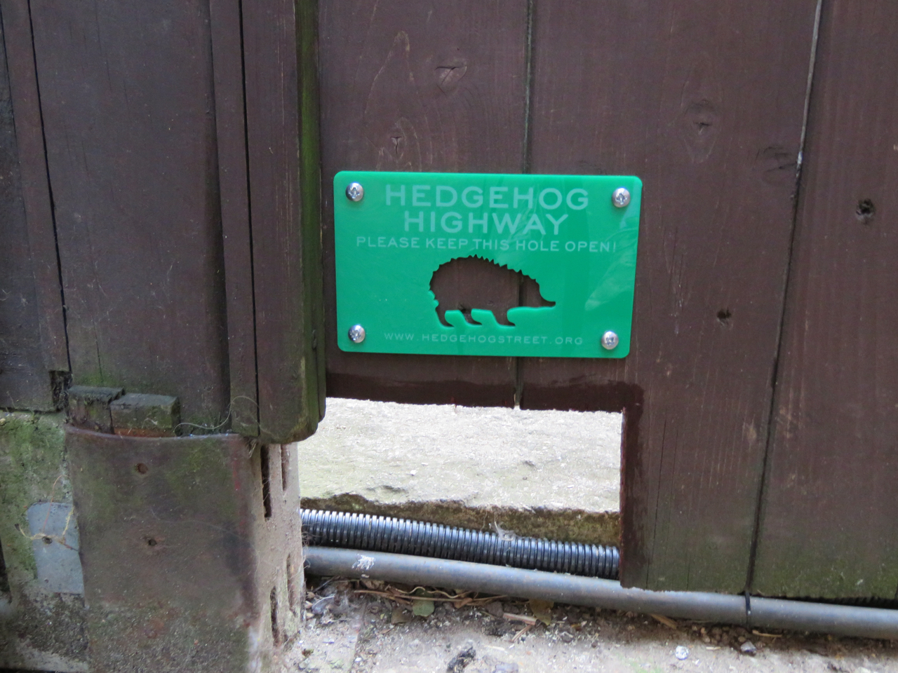 Hedgehog Highways
