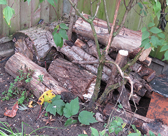 Log pile