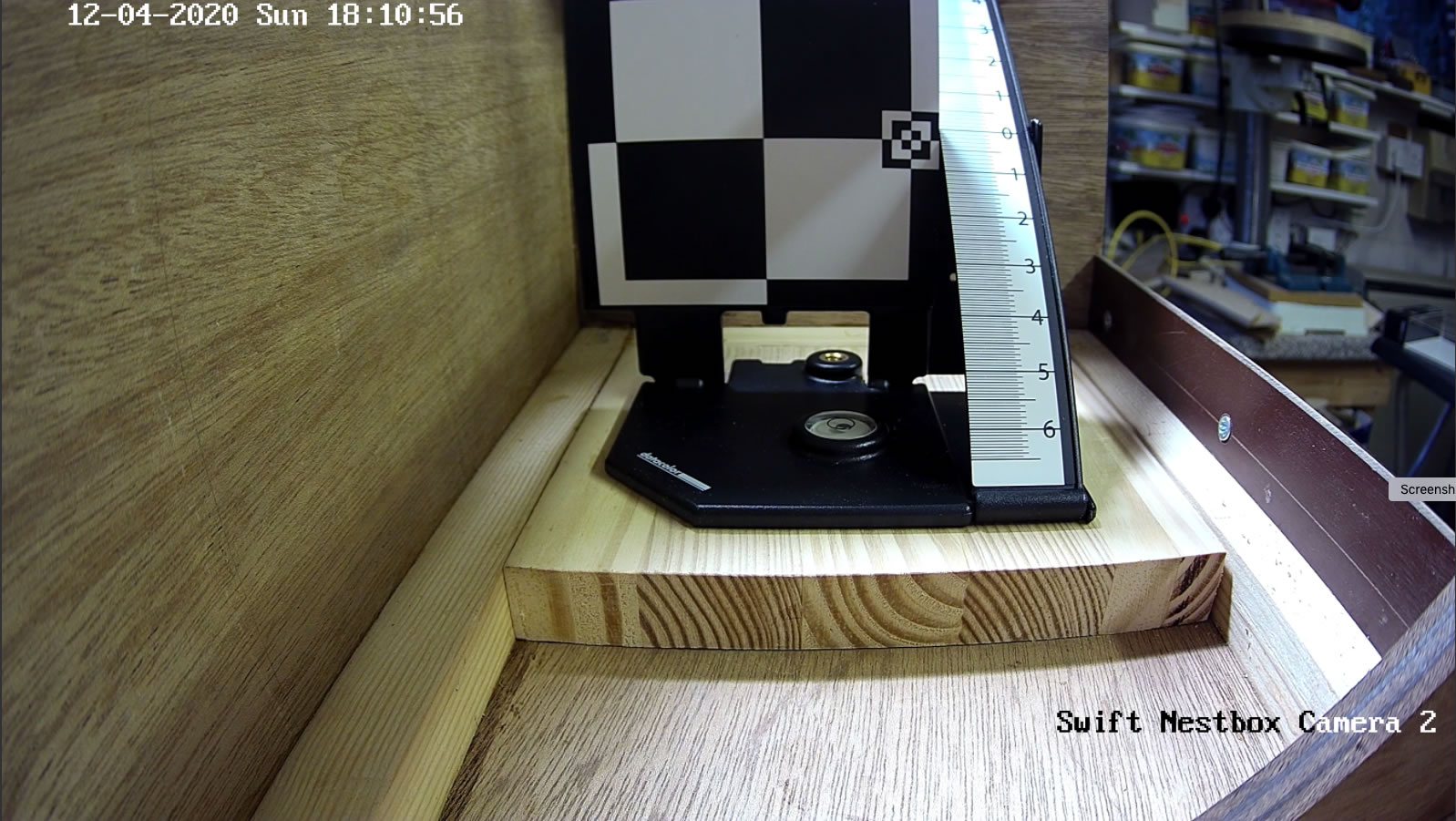 view from the camera