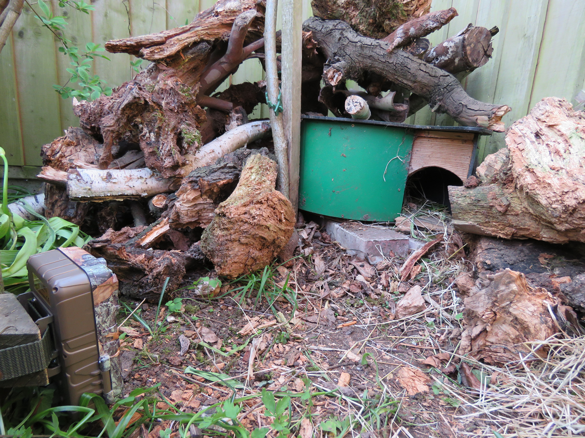 Browning Recon Force Edge