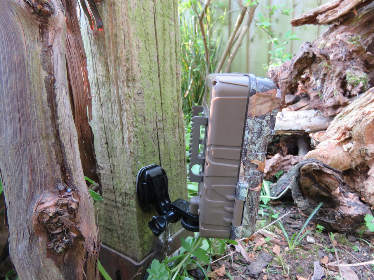 Trail camera mount