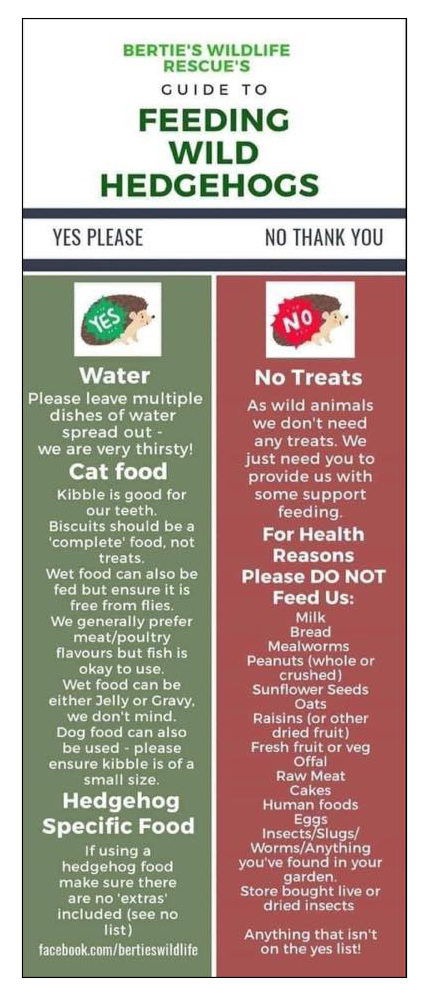 Hedgehog feeding guide