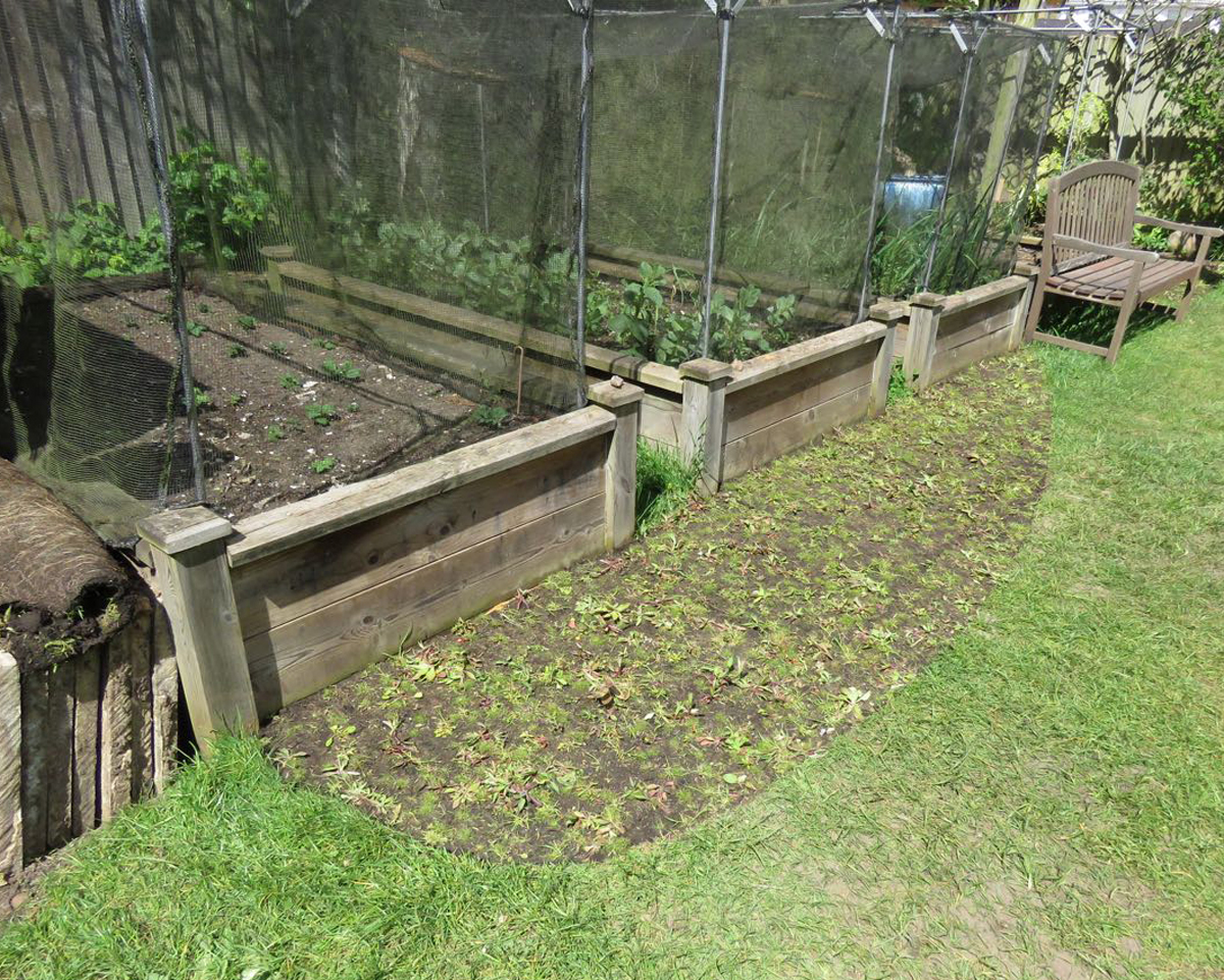 The wild flower meadow strip.