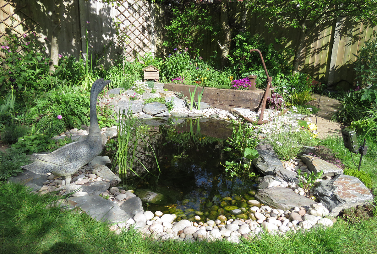 Our new wildlife pond